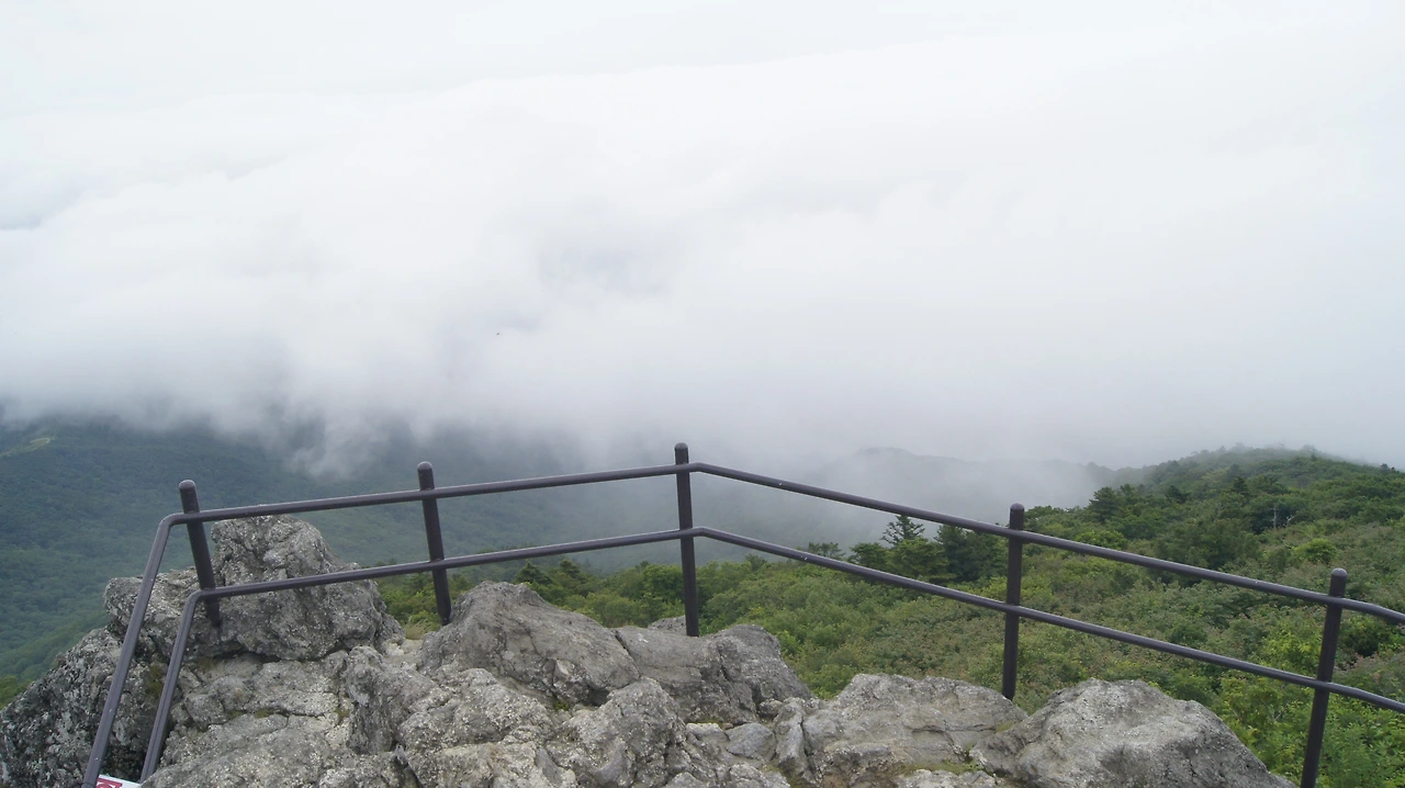 ♧_무주 덕유산 향적봉_20180630_50.JPG