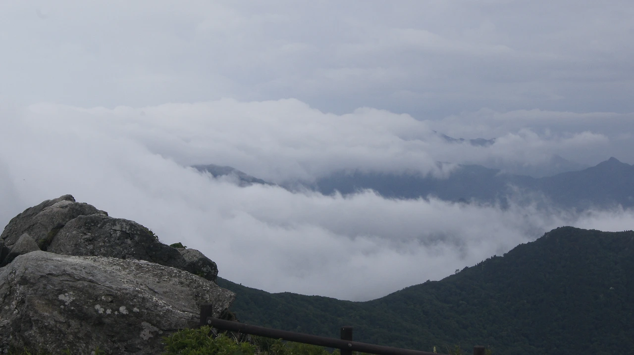 ♧_무주 덕유산 향적봉_20180630_37.JPG