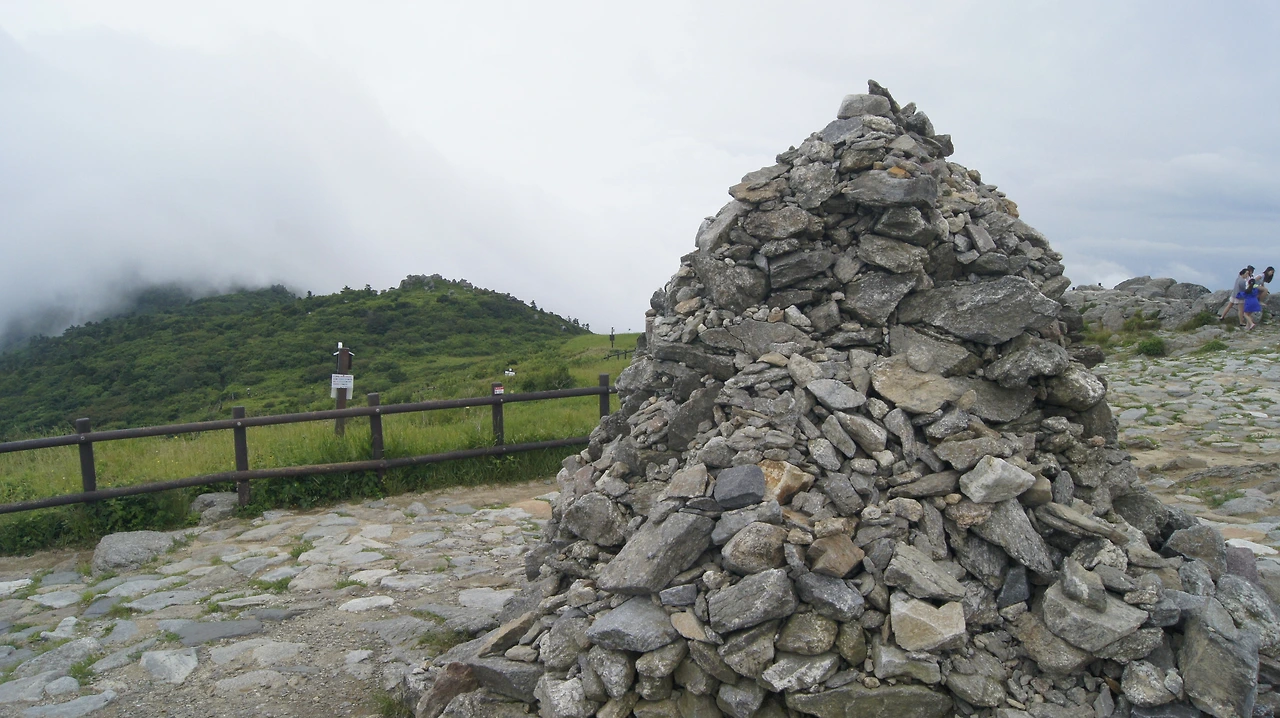 ♧_무주 덕유산 향적봉_20180630_51.JPG