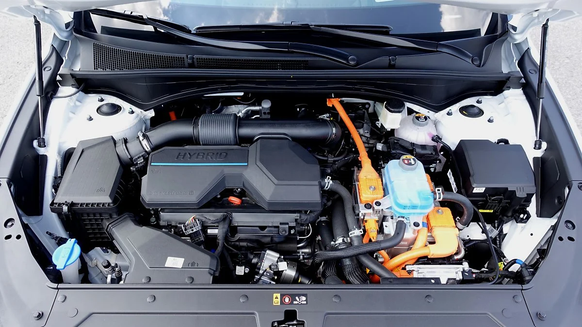 image_3492332491628489530807.jpg?type=w1200