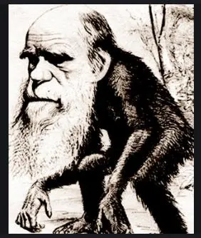 %B4%D9%C0%A9%C7%B3%C0%DA_%B1%D7%B8%B2.JPG?type=w3