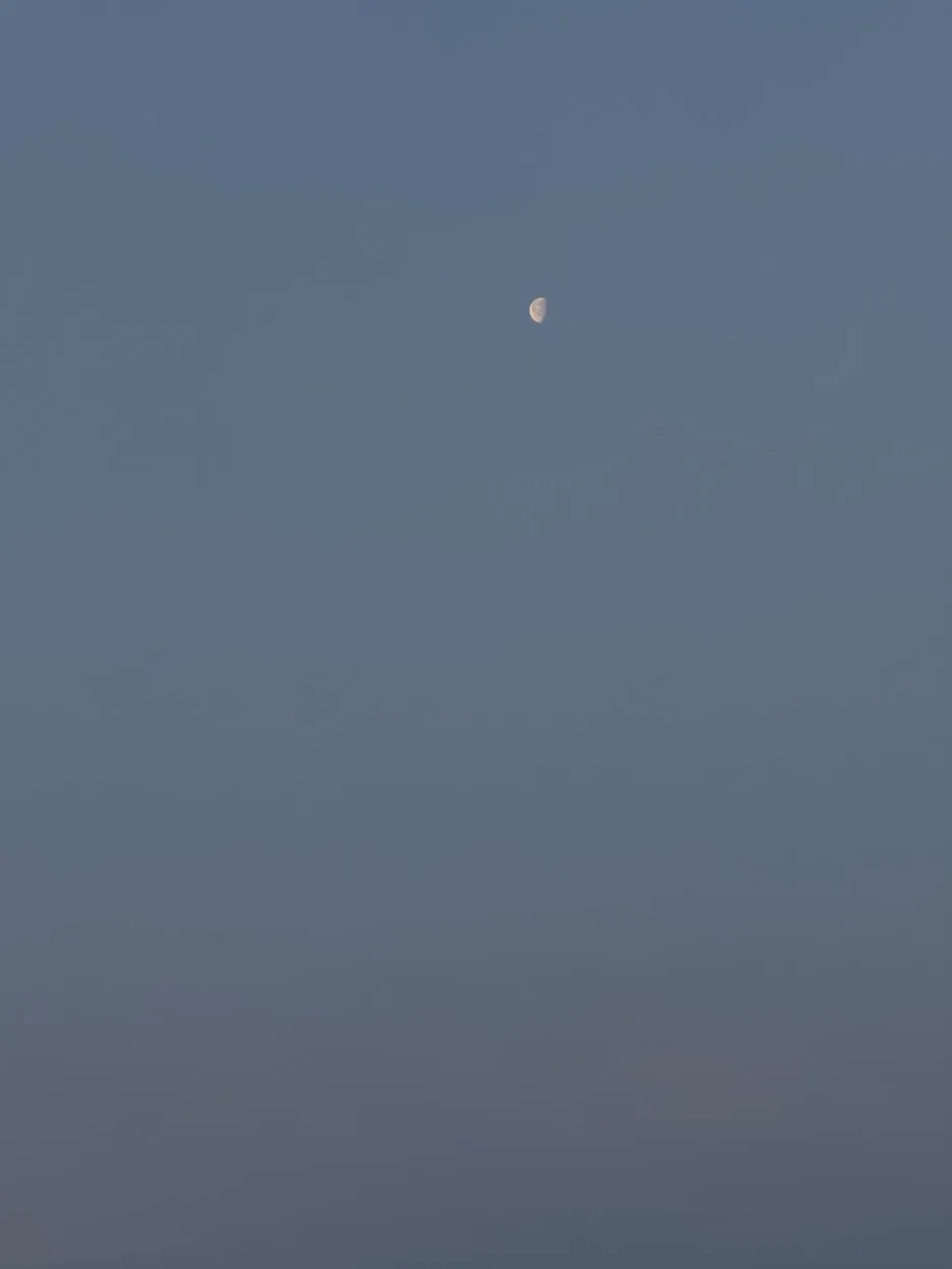 IMG_1814.jpeg?type=w1