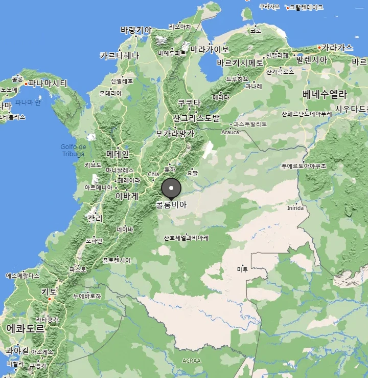 엔칸토 마법의 세계 배경 콜롬비아 E1.PNG