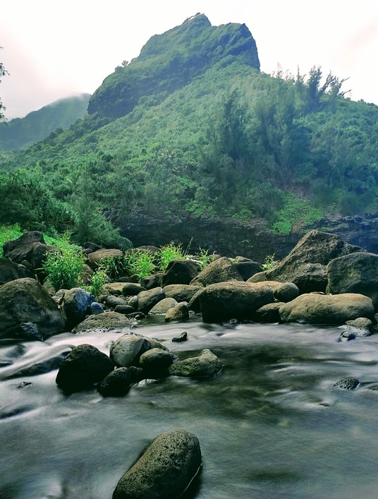 하와이 여행.PNG