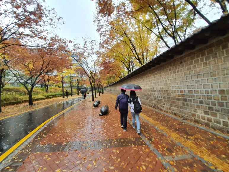 KakaoTalk_20240818_072909051.jpg?type=w773