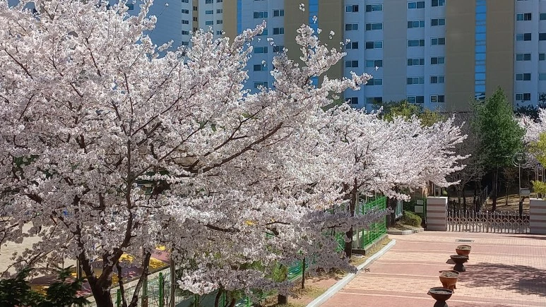 20230327_142511.jpg?type=w773