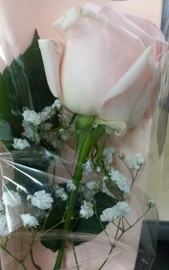 20230203_115925.jpg?type=w773