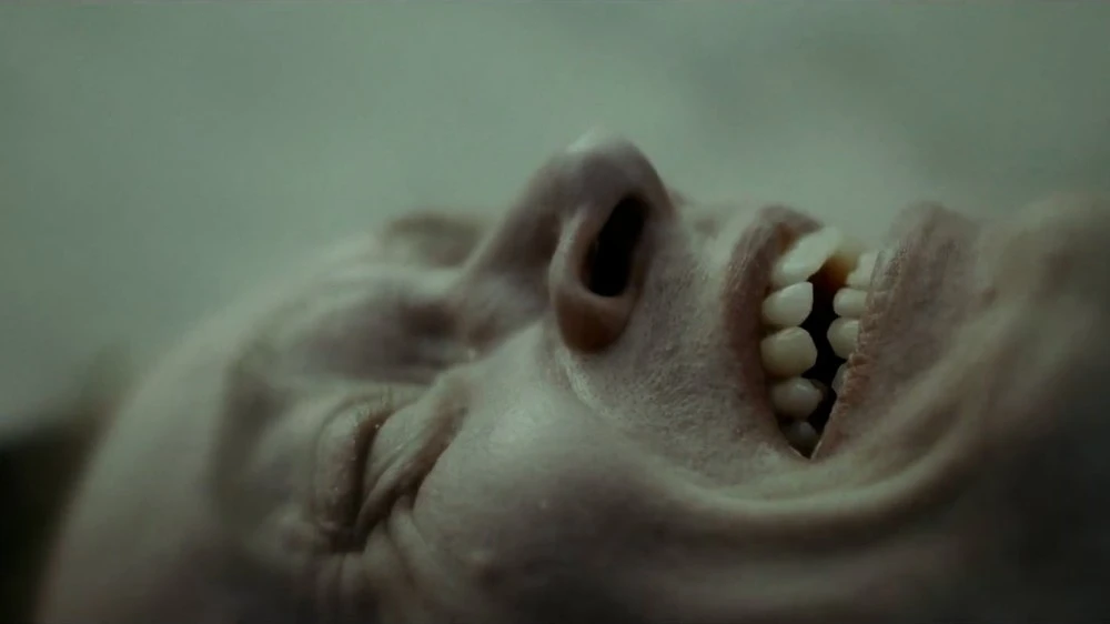 1631055772695.jpg?1631055788990