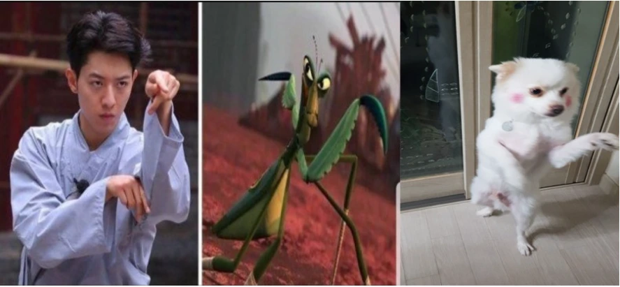 16. [꿈일기 - 귀요미 맨티스의 모험].PNG