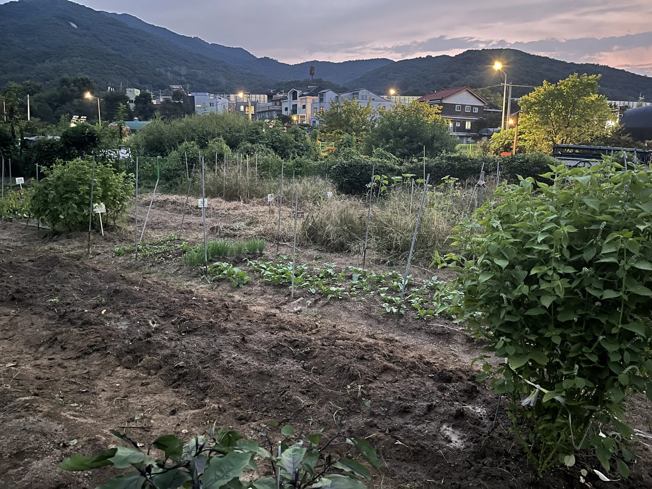 P20230910_190744578_53A99065-7404-4AF1-A06A-70FE20CDCFA8 (5).HEIC