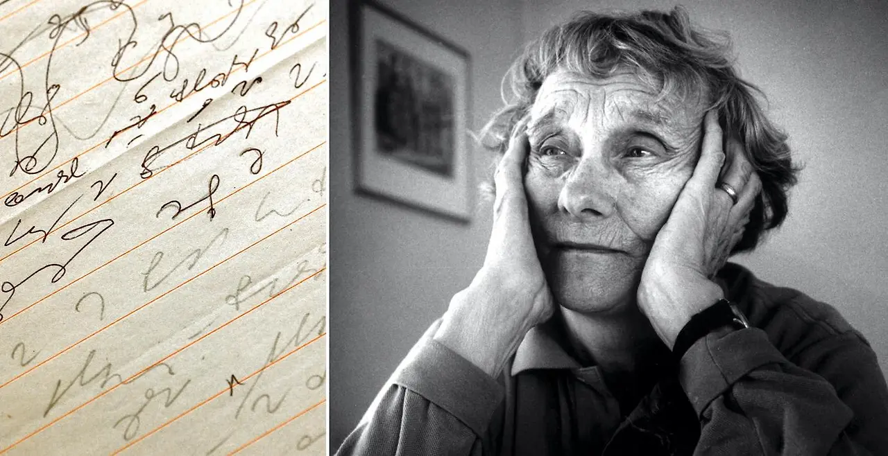 3186c317-3cca-444e-b26e-f20a3c6f51e5?h=708&tight=false&w=1372