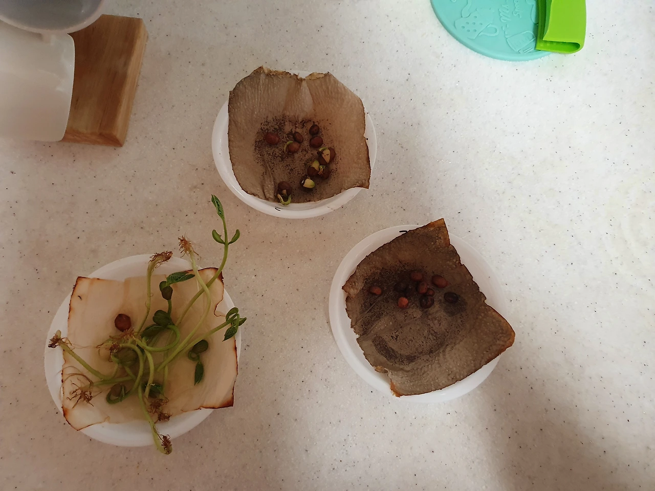 5-1 이동원 1.jpeg