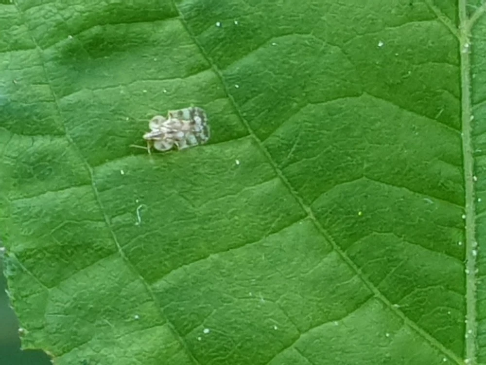 2-8 이성근 4.jpeg