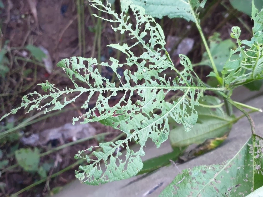 2-8 이성근 3.jpeg