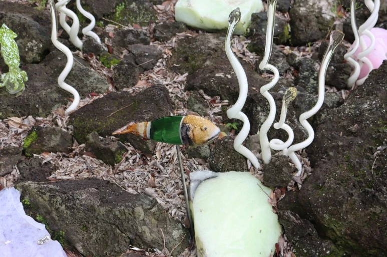 IMG_0654.JPG?type=w773