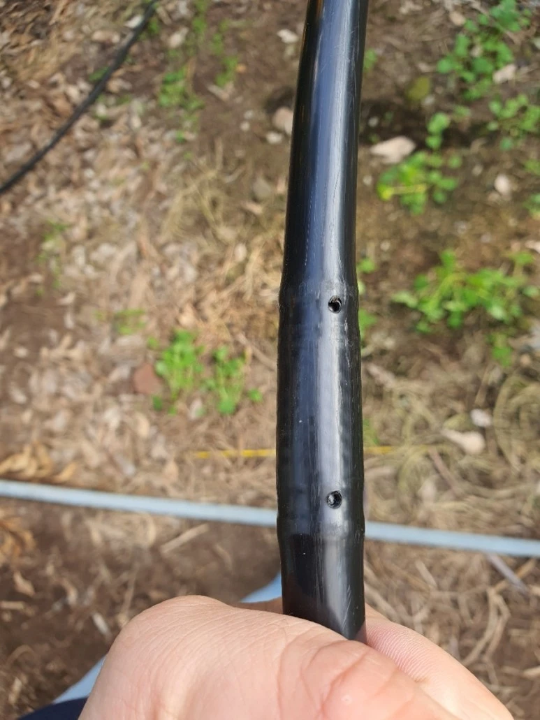 20201120%EF%BC%BF091512.jpg?type=w773