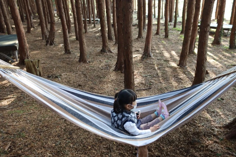 IMG_4241.JPG?type=w773