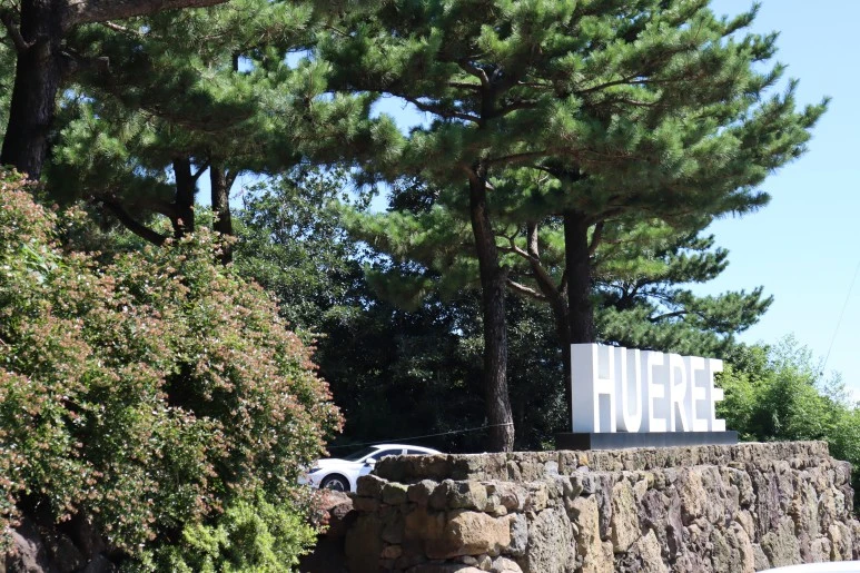 IMG_3526.JPG?type=w773