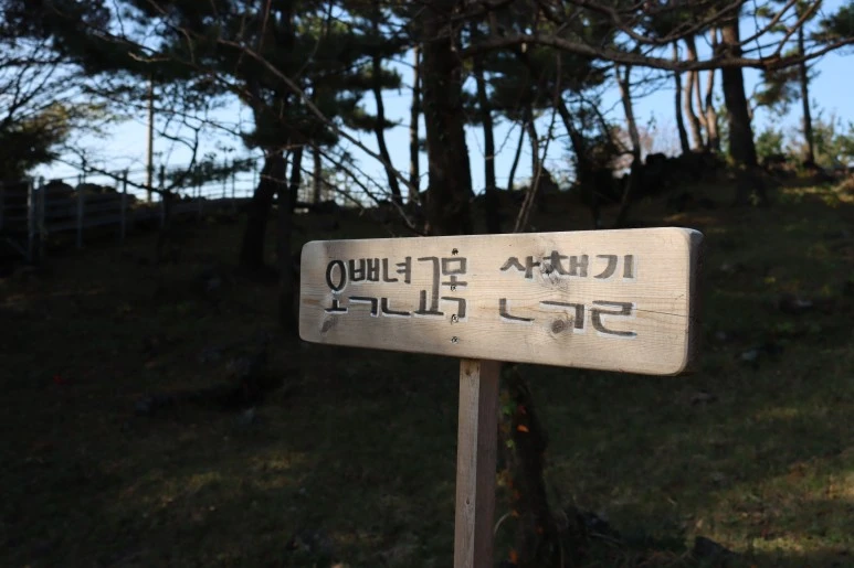 IMG_4251.JPG?type=w773