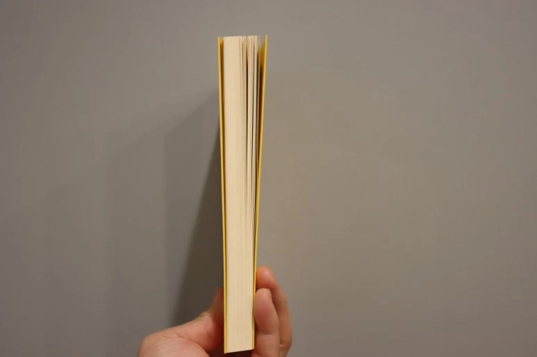 IMG_4384.JPG?type=w773