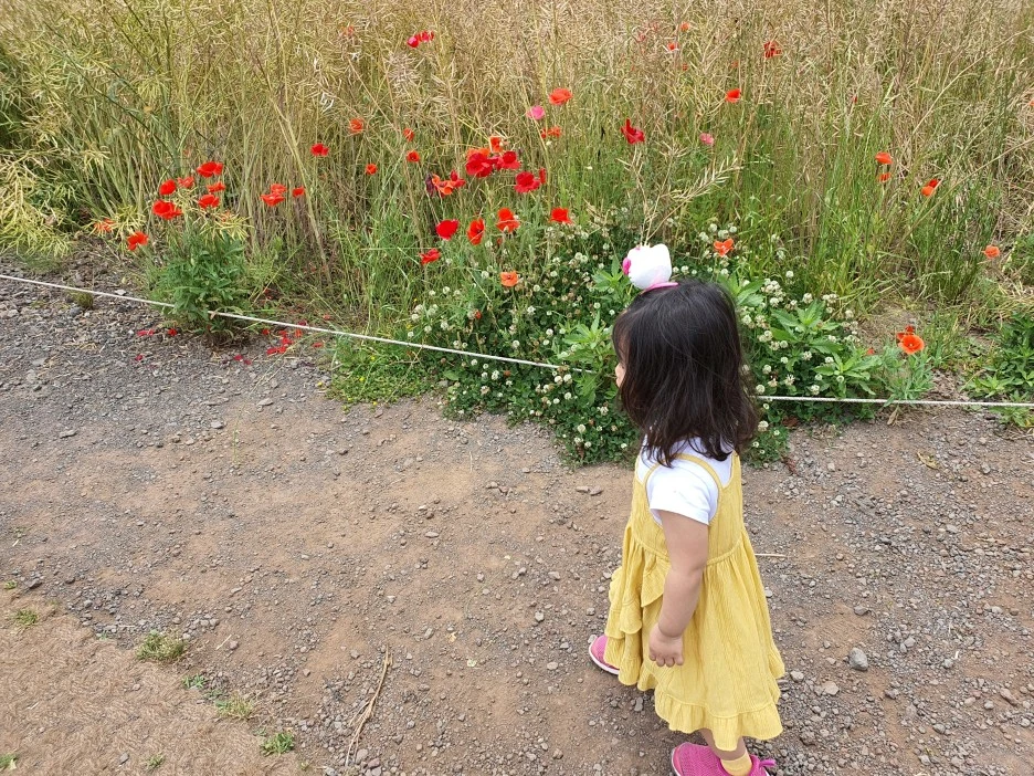 20200606_123502.jpg?type=w1