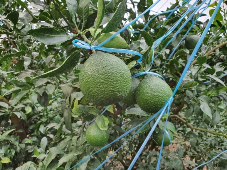 1600923191336.jpg?type=w773