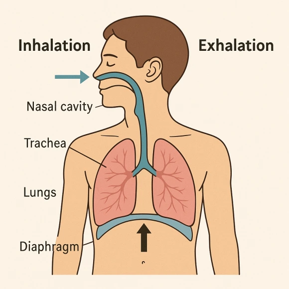 ChatGPT_Image_2025%EB%85%84_8%EC%9B%94_11%EC%9D%BC_%EC%98%A4%ED%9B%84_05_04_24.png?type=w580