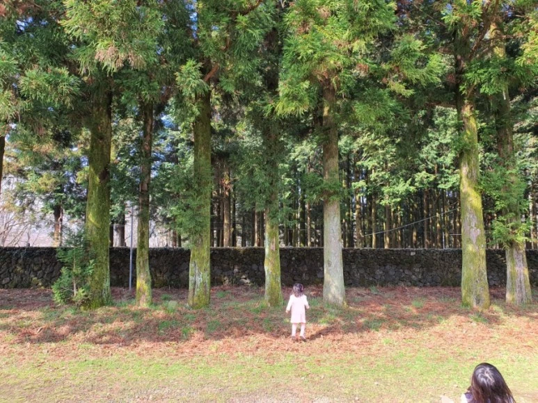 20210314%EF%BC%BF103932.jpg?type=w773