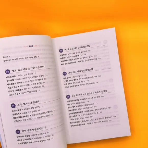 IMG%EF%BC%BF9218.jpg?type=w580