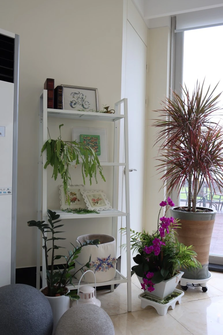 IMG_3099.JPG?type=w773