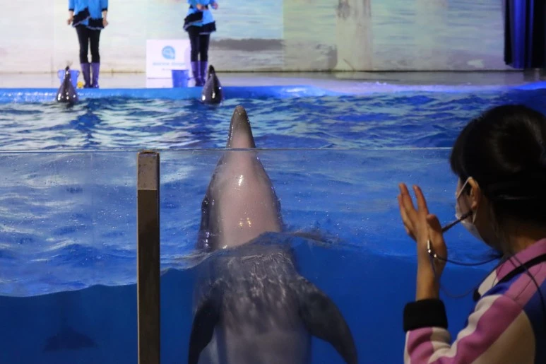 IMG_4095.JPG?type=w773