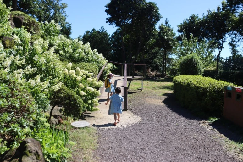 IMG_3535.JPG?type=w773