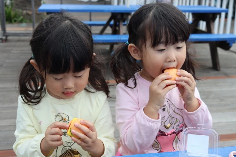 IMG_4000.JPG?type=w773