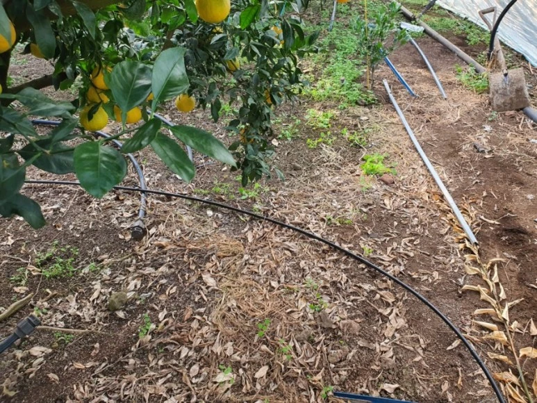 20201120%EF%BC%BF090927.jpg?type=w773