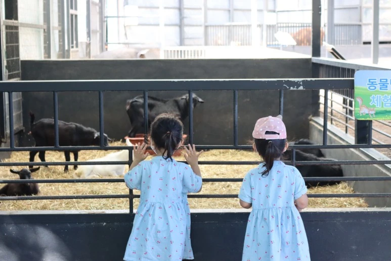 IMG_3593.JPG?type=w773