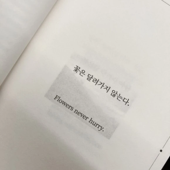 IMG_4909.jpg?type=w580