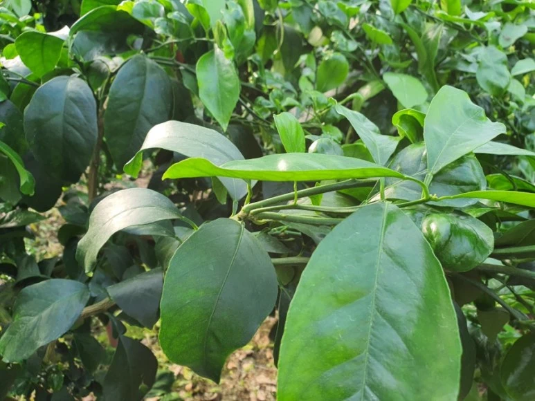 20210305%EF%BC%BF092115.jpg?type=w773