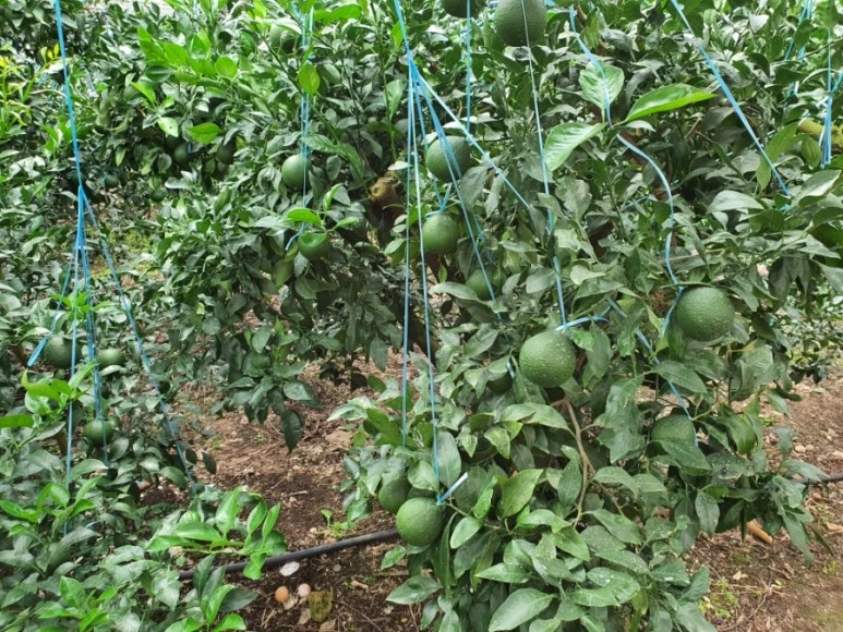 1600923190077.jpg?type=w773