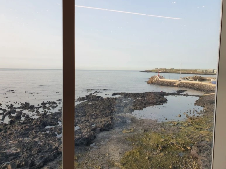 20210509%EF%BC%BF180943.jpg?type=w773