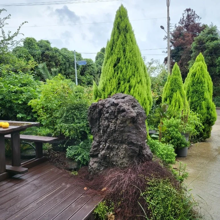 SE-bc885b4e-2c1d-11ed-95c6-a3f7ba866748.jpg?type=w773