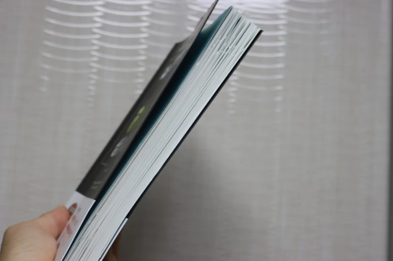 IMG_01241.JPG?type=w773