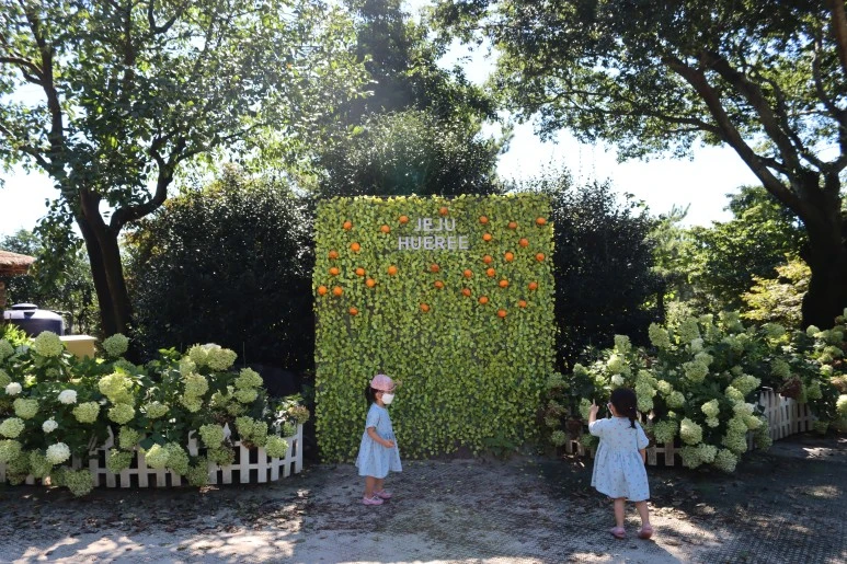 IMG_3569.JPG?type=w773