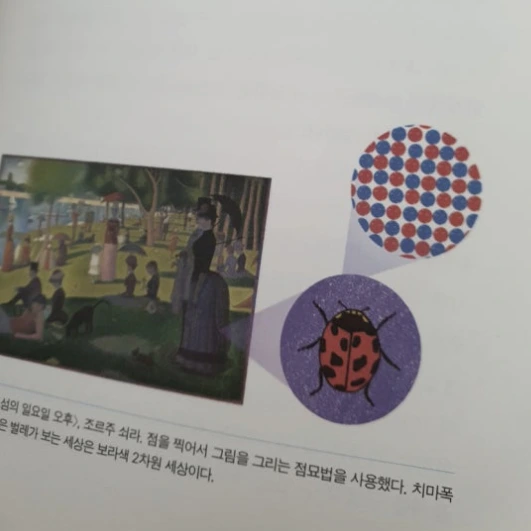 SE-6dbd54d6-7a43-4372-829c-4a4a435c4b65.png?type=w580