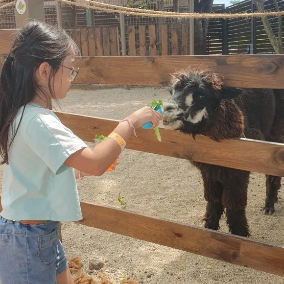 SE-2d2c15d5-5c91-4810-aa61-e13e3add34fb.jpg?type=w580