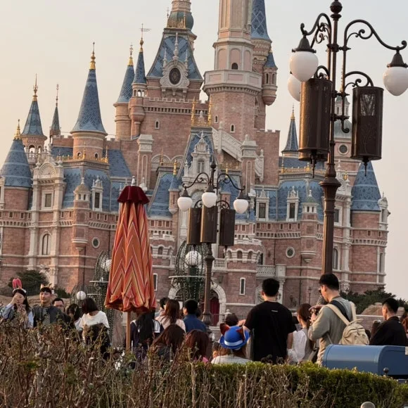 IMG_8050.jpg?type=w580