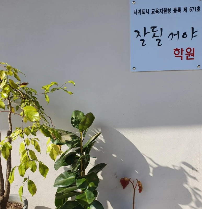 20211002%EF%BC%BF150634.jpg?type=w773