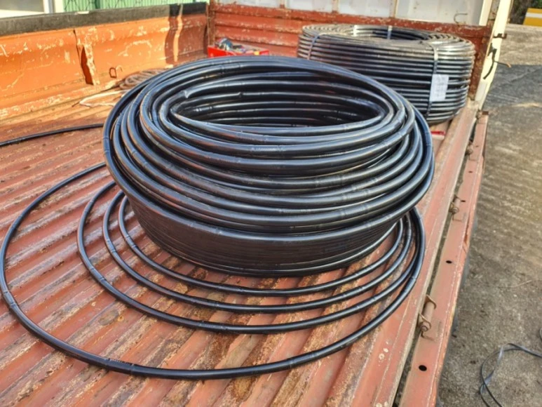 20201120%EF%BC%BF091051.jpg?type=w773