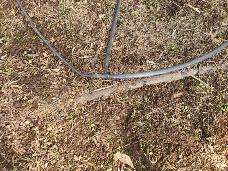 20201120%EF%BC%BF100033.jpg?type=w773