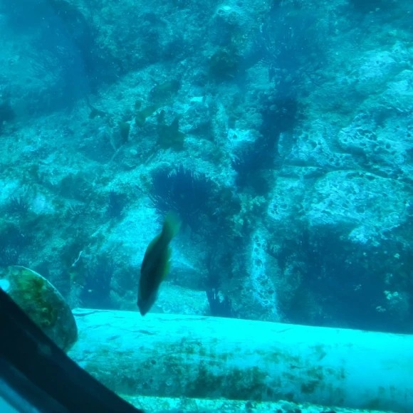 20221118%EF%BC%BF151120.jpg?type=w580