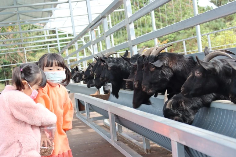 IMG_4306.JPG?type=w773